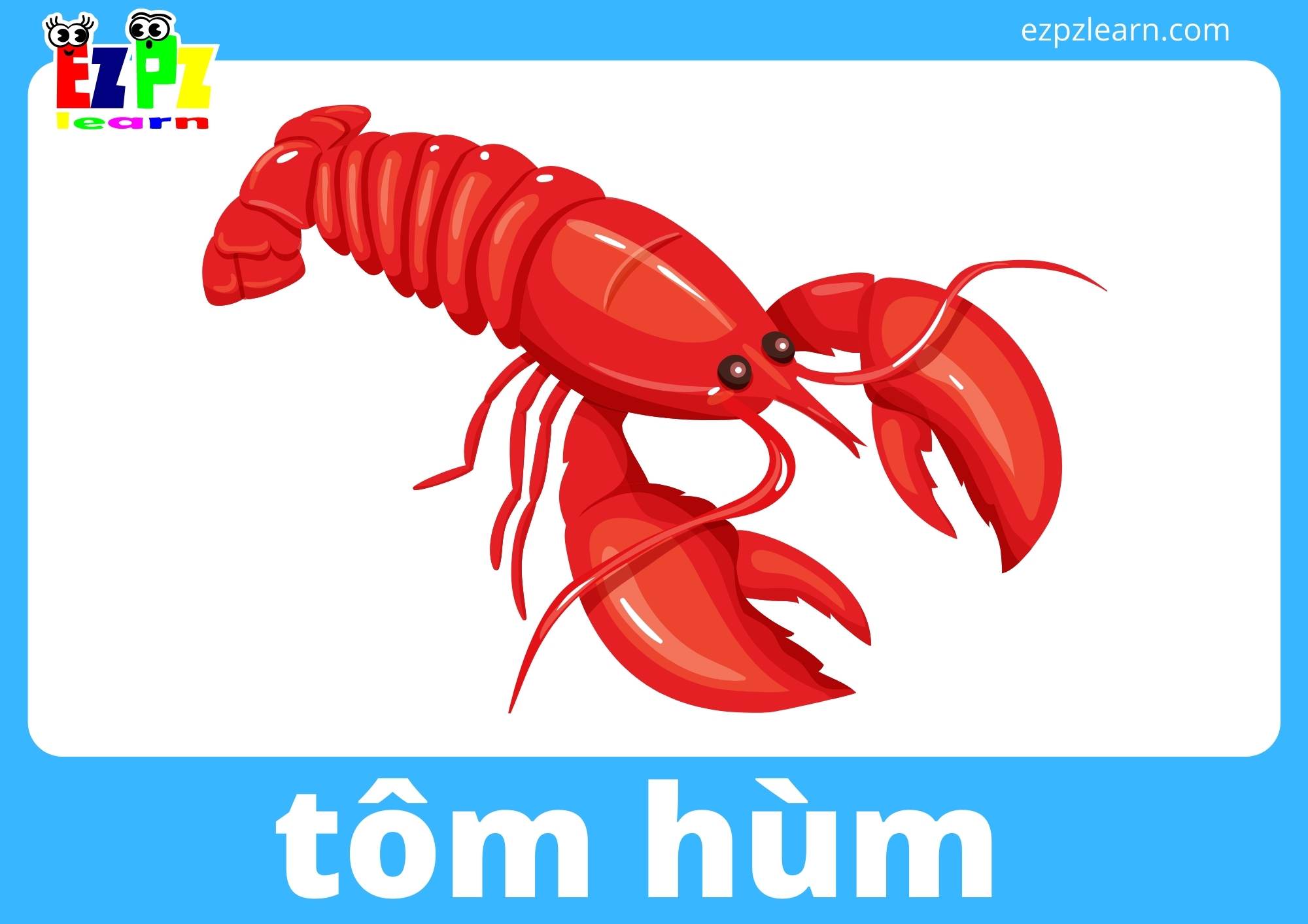 tôm hùm